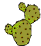 cactus animato